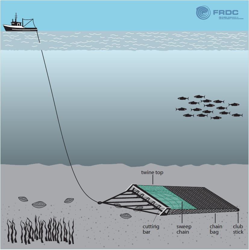 Fishing dredge