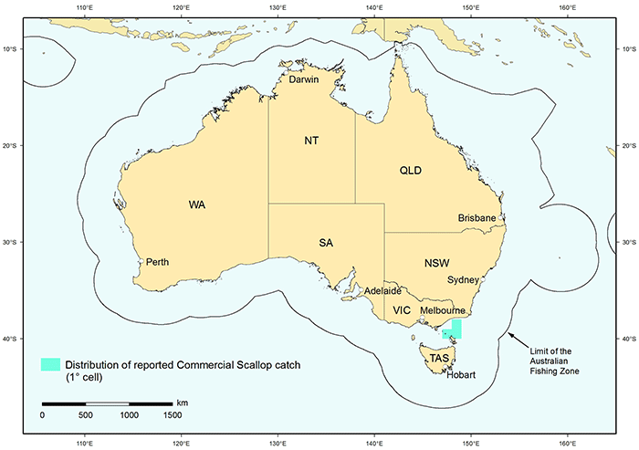 Figure 1: Distribution of reported catch of Commercial Scallop in Australian waters, 2010 